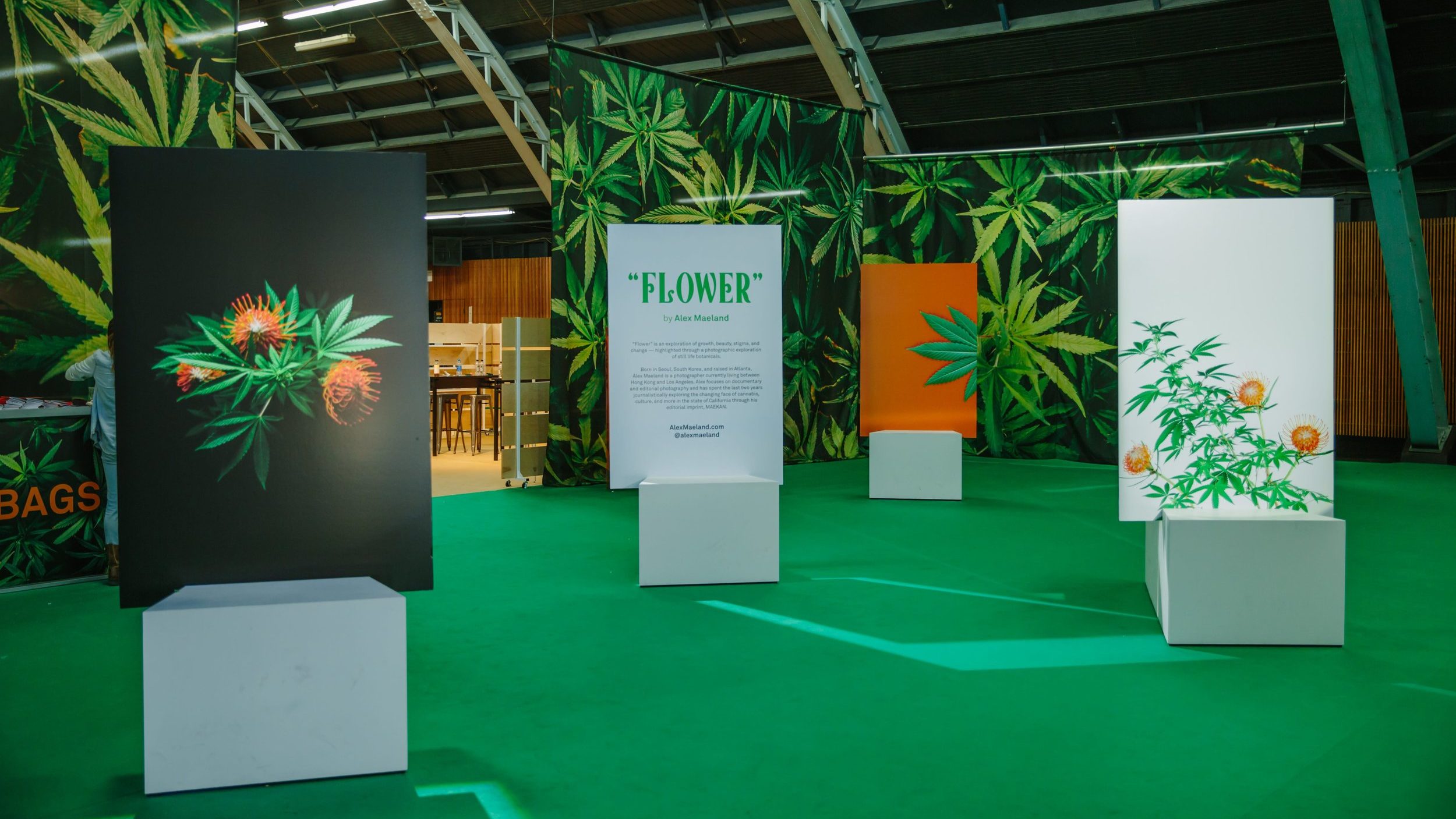 Hall of Flowers TimeTravel Into The Future of Cannabis [press release